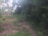 Land for Sale, maruads.lk