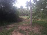 Land for Sale, maruads.lk