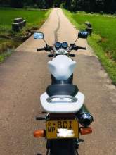 Honda Hornet 250 CH115, maruads.lk