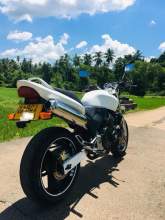 Honda Hornet 250 CH115, maruads.lk