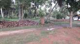 Land for Sale, maruads.lk