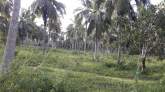 Land for Sale, maruads.lk
