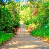 Land for Sale, maruads.lk