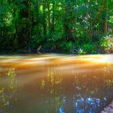 Land for Sale, maruads.lk