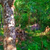 Land for Sale, maruads.lk