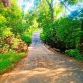 Land for Sale, maruads.lk