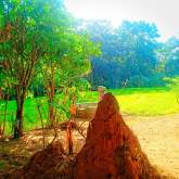 Land for Sale, maruads.lk