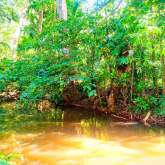 Land for Sale, maruads.lk