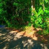 Land for Sale, maruads.lk