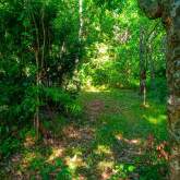 Land for Sale, maruads.lk