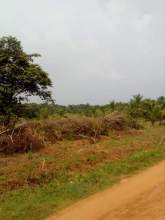 Land for Sale, maruads.lk