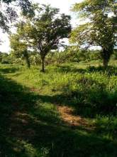 Land for Sale, maruads.lk