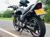 Honda Jade 250, maruads.lk