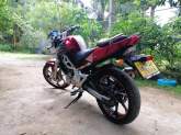 Demak DZM 200cc, maruads.lk