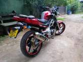 Demak DZM 200cc, maruads.lk