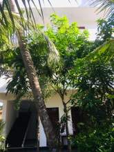 Mirissa Hotel for sale, maruads.lk