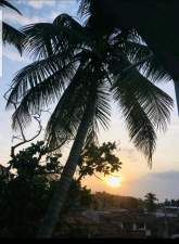 Mirissa Hotel for sale, maruads.lk