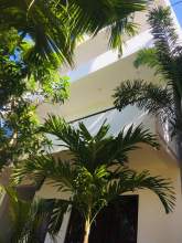 Mirissa Hotel for sale, maruads.lk