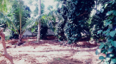 Land For Sale Matara - Kaburupitiya, maruads.lk