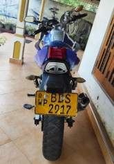 DEMAK DZM 200 2016 for Sale, maruads.lk