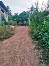 Land For Sale in Attanagalla, Haggalla, maruads.lk