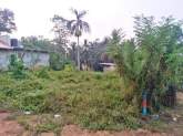 Land For Sale in Attanagalla, Haggalla, maruads.lk