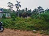 Land For Sale in Attanagalla, Haggalla, maruads.lk