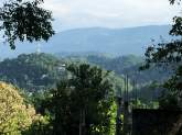 Land for Sale - Meekanuwa, Ampitiya Road, Kandy, maruads.lk