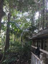 River front 60 perches from the deed and free 23 perches from the mahaweli sudu gaga river reservation, maruads.lk