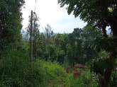 Land for Sale near Nelligala, maruads.lk