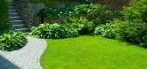 Wasantha Garden Maintenance Service, maruads.lk