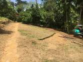 Newly planted tea area and remaining area for construction of a building., maruads.lk