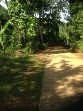 Beautiful Land next to Nilwala River, maruads.lk