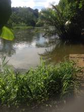 Beautiful Land next to Nilwala River, maruads.lk