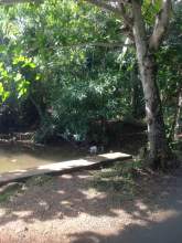 Beautiful Land next to Nilwala River, maruads.lk