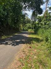 land for sale, maruads.lk