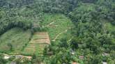 land for sale, maruads.lk