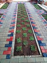 Interlock Paving - Basnayake Enterprises, maruads.lk