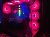 Ryzen 7 5700x RTX5060, maruads.lk